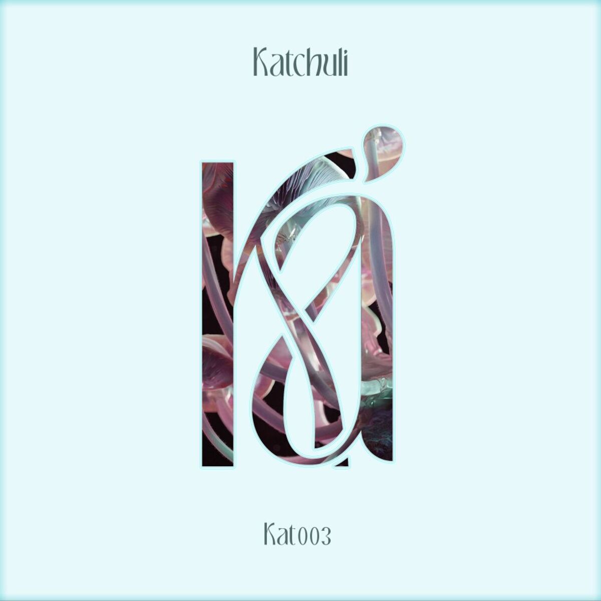 Album cover of Ceremonia da Lua