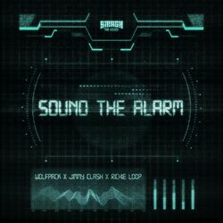 Cover of Sound the Alarm