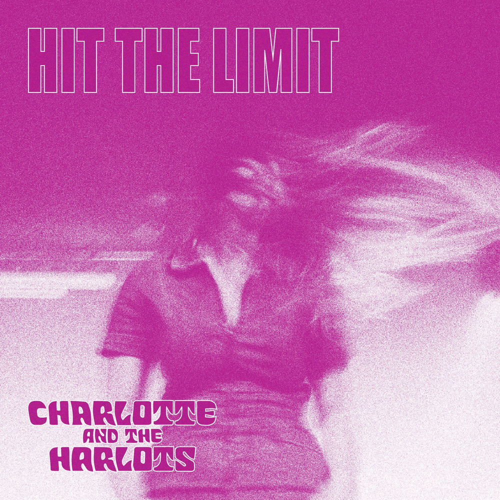 Hit The Limit artwork