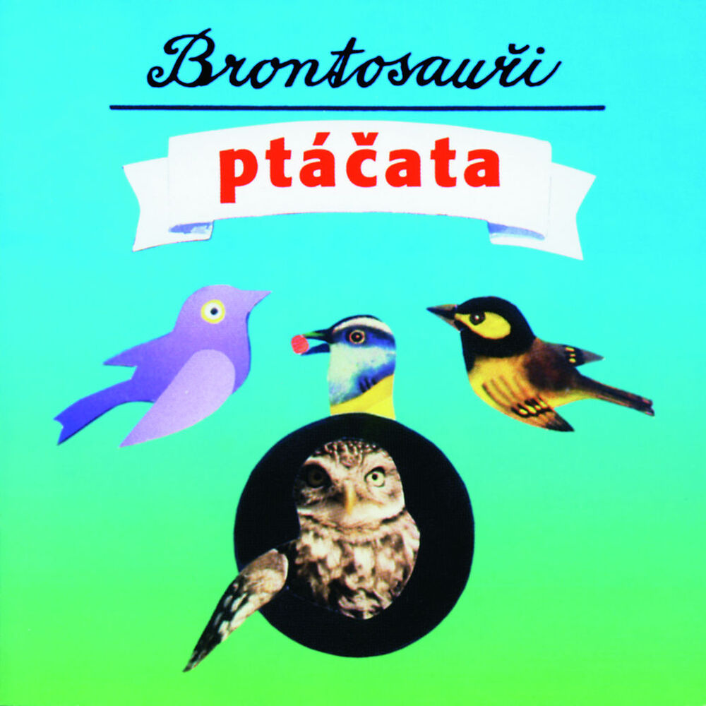 Picture of Ptacata