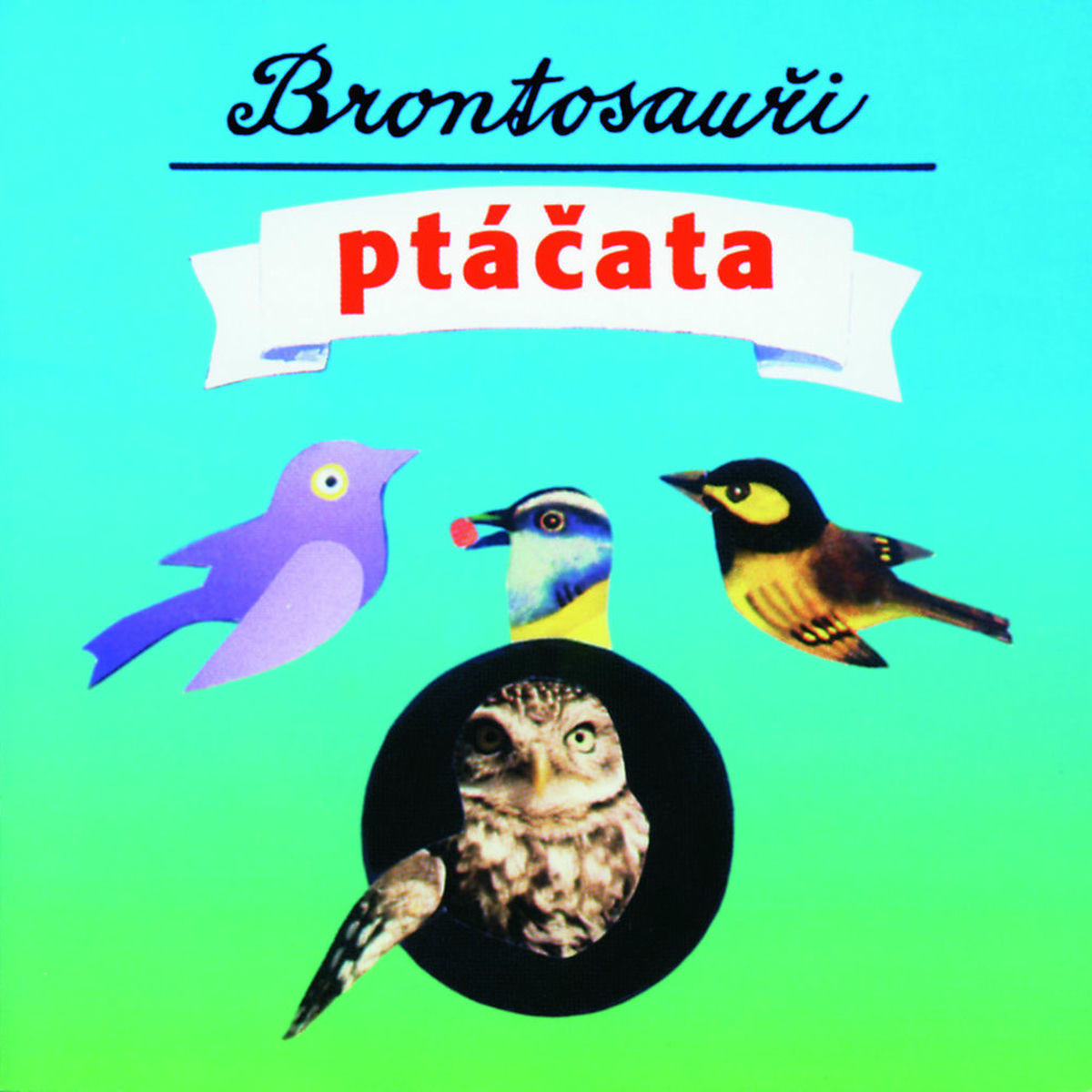 Album cover of Ptacata