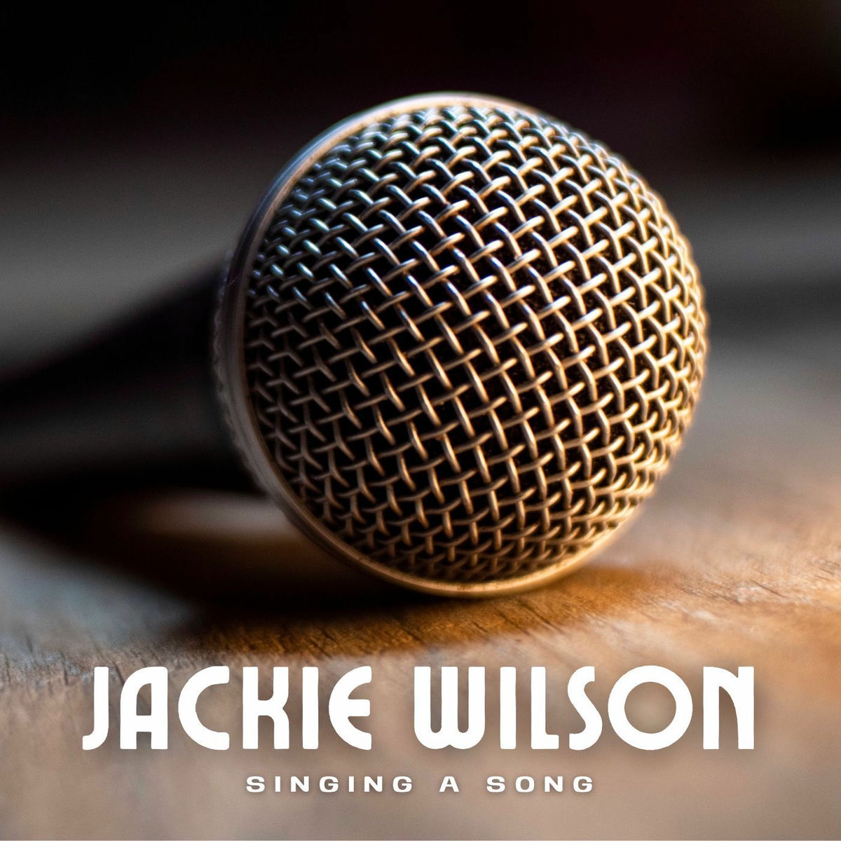 Album cover of Singing a Song