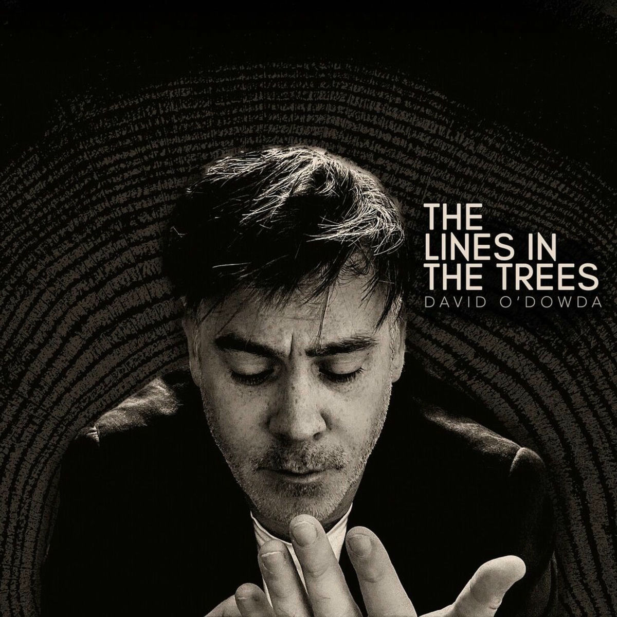 Album cover of The Lines in the Trees