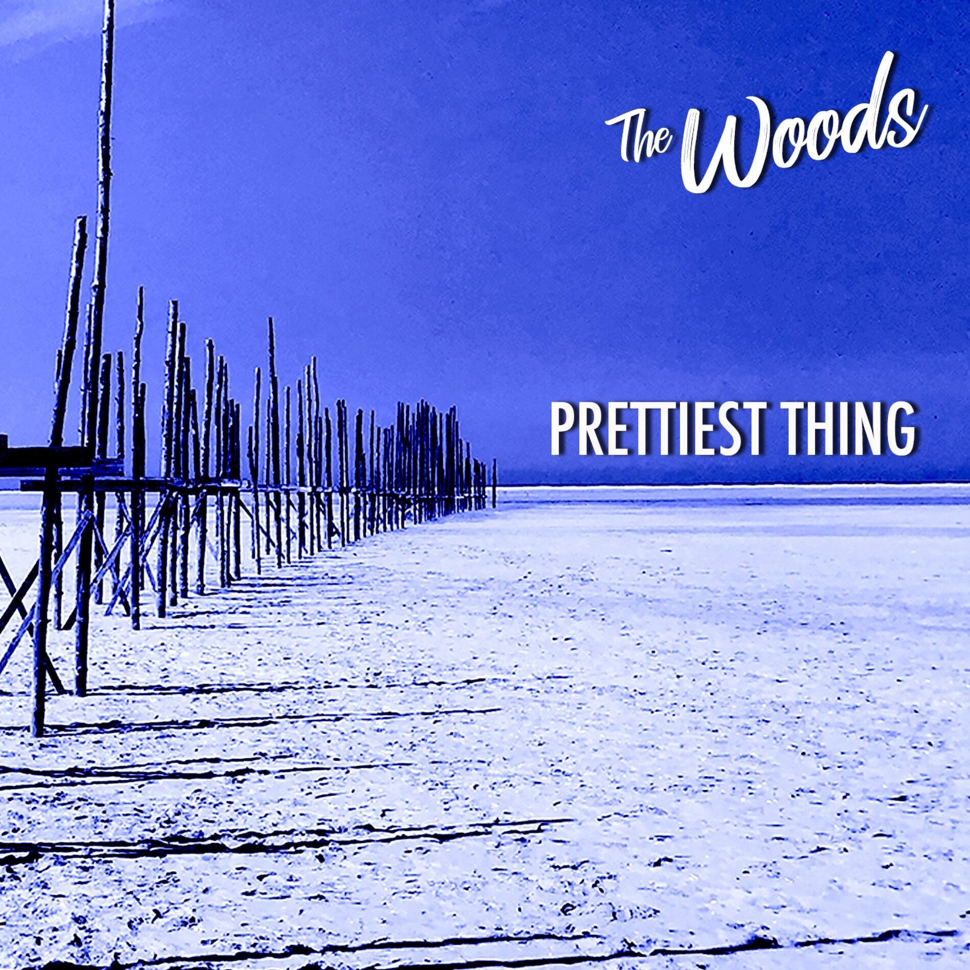 Album cover of Prettiest Thing