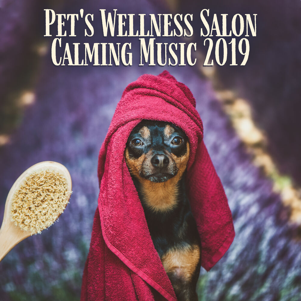 Picture of Pet's Wellness Salon Calming Music 2019: 15 New Age Pet Therapy Songs