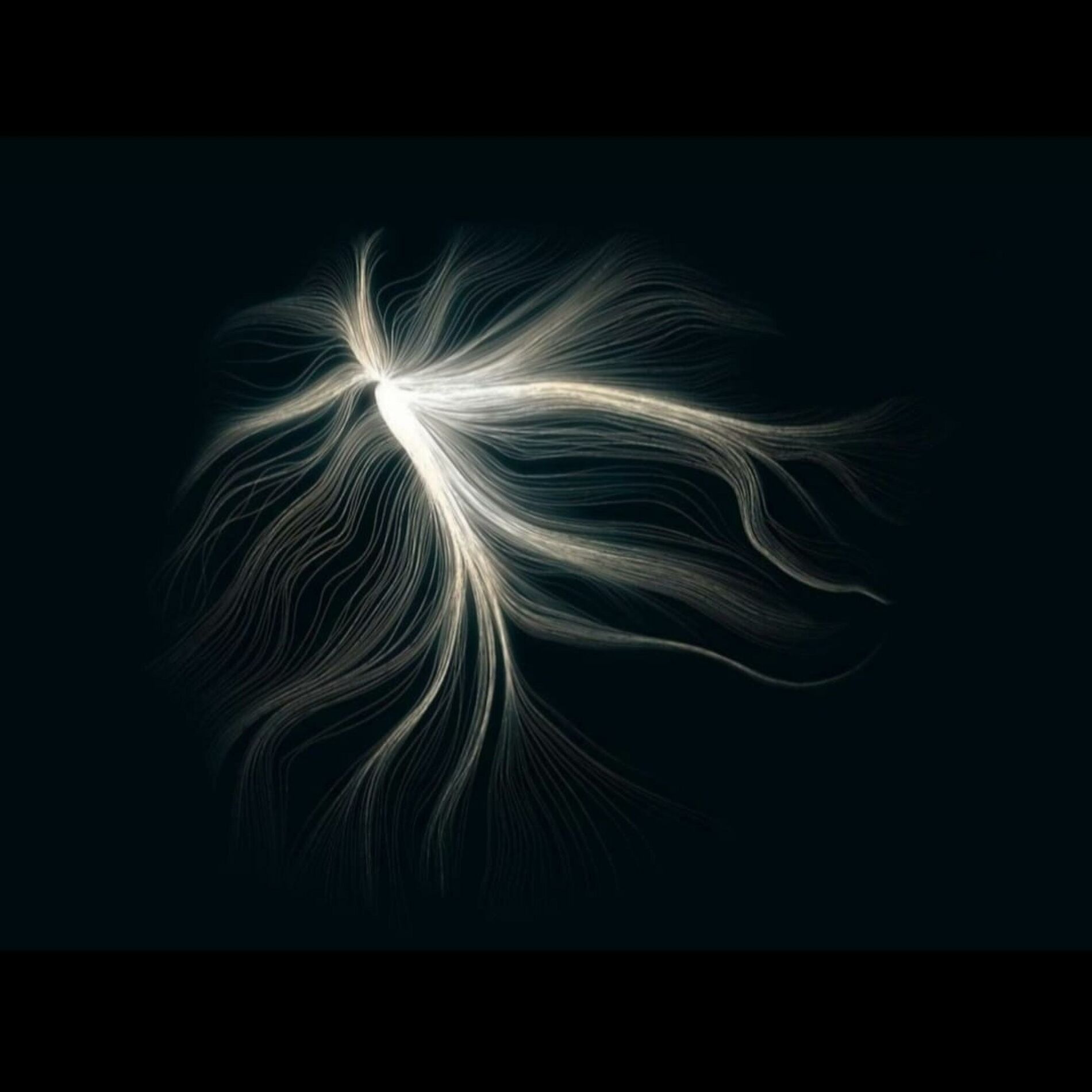 Album cover of experimento1 (feat. GordoFlaco)