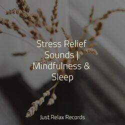 Cover of Stress Relief Sounds | Mindfulness & Sleep