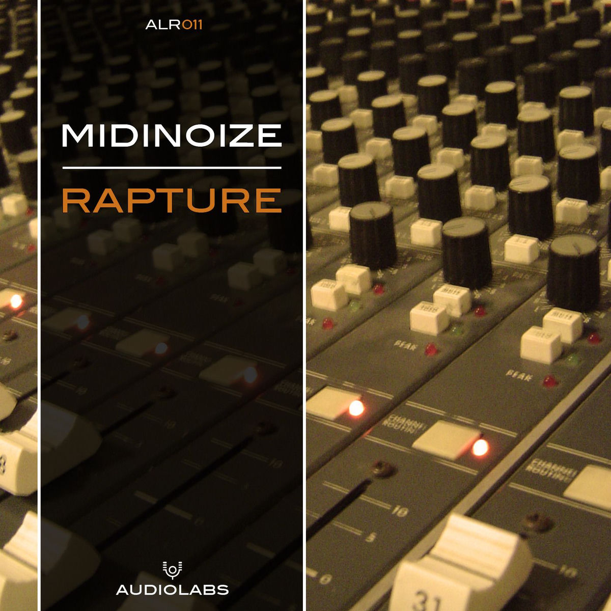 Album cover of Rapture