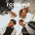 Foxglove