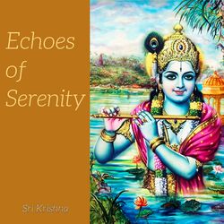Cover of Echoes of Serenity | 07