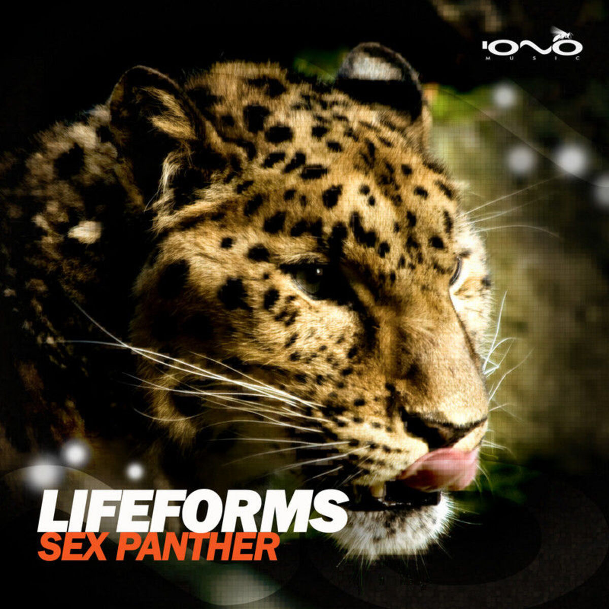 Album cover of Sex Panther - Single