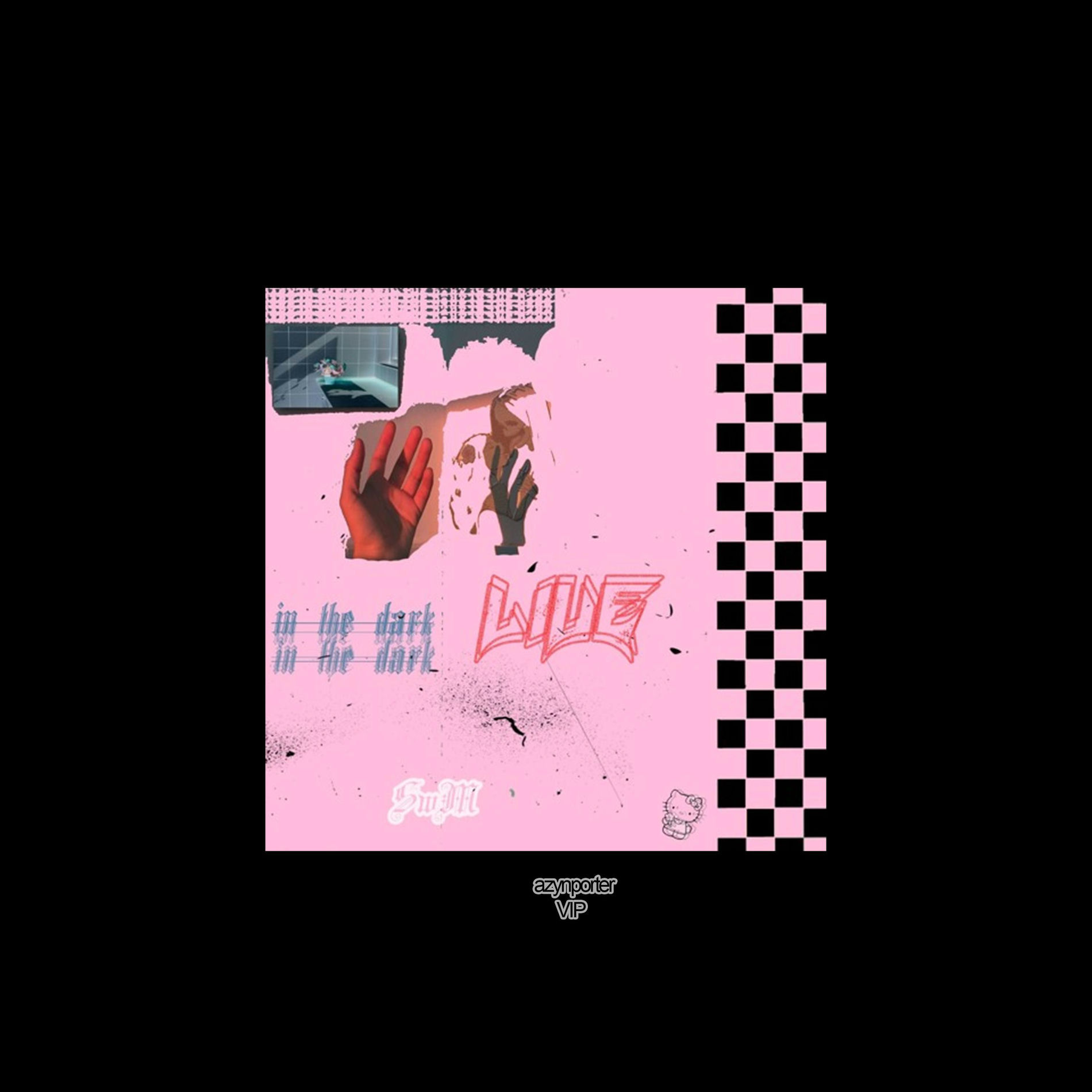 Album cover of in the dark (azynporter vip)