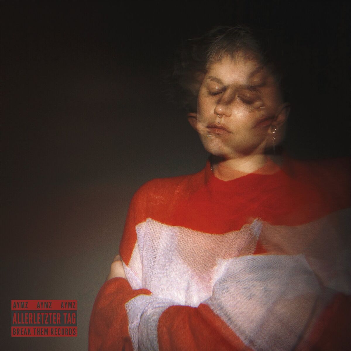 Album cover of Allerletzter Tag