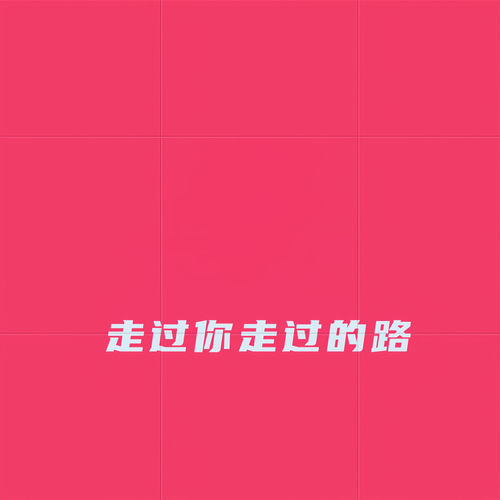 走过你走过的路