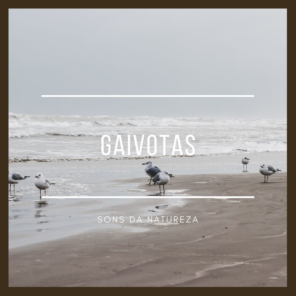 Picture of Gaivotas