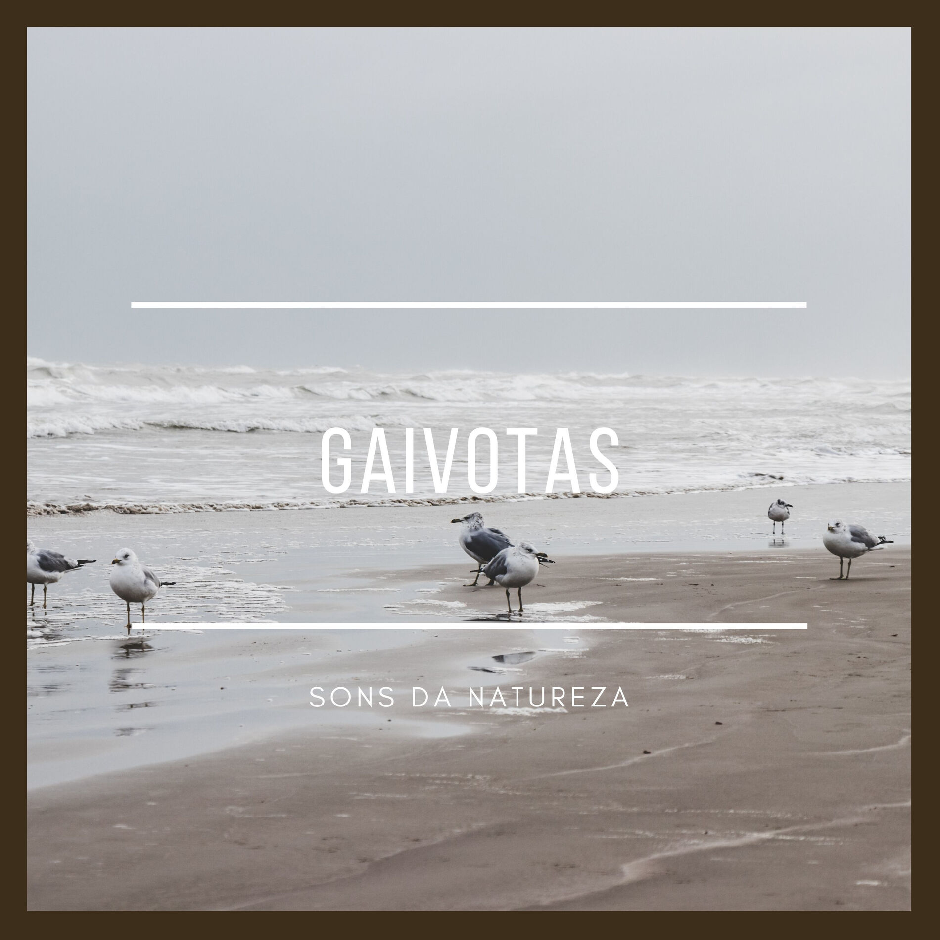 Album cover of Gaivotas