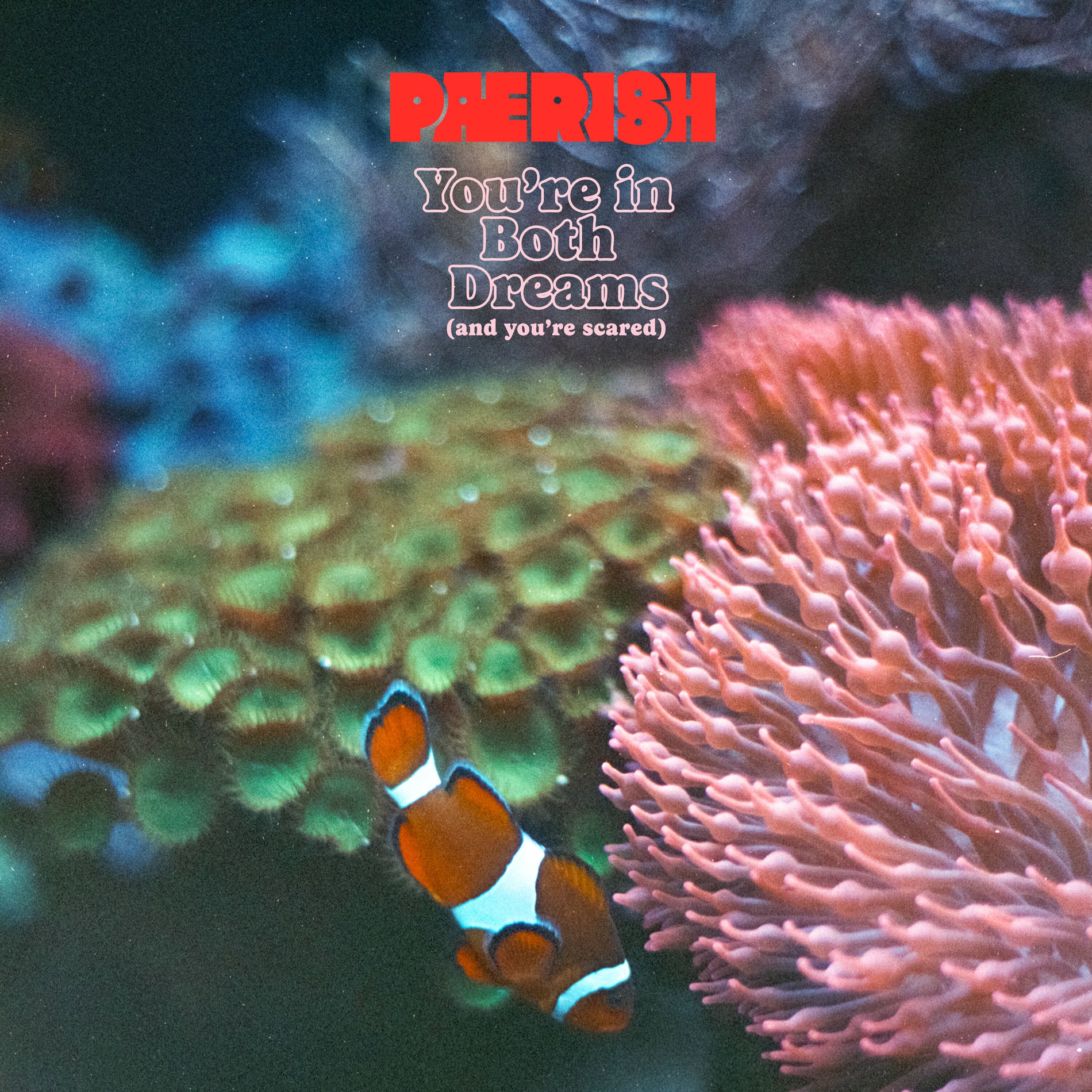 Album cover of Sequoia