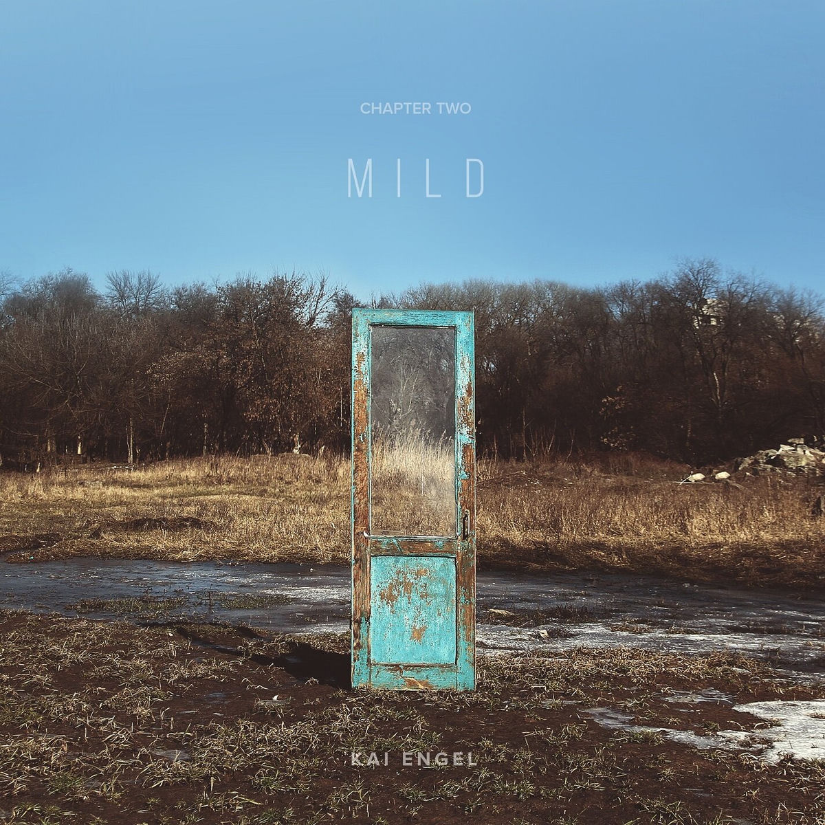 Album cover of River