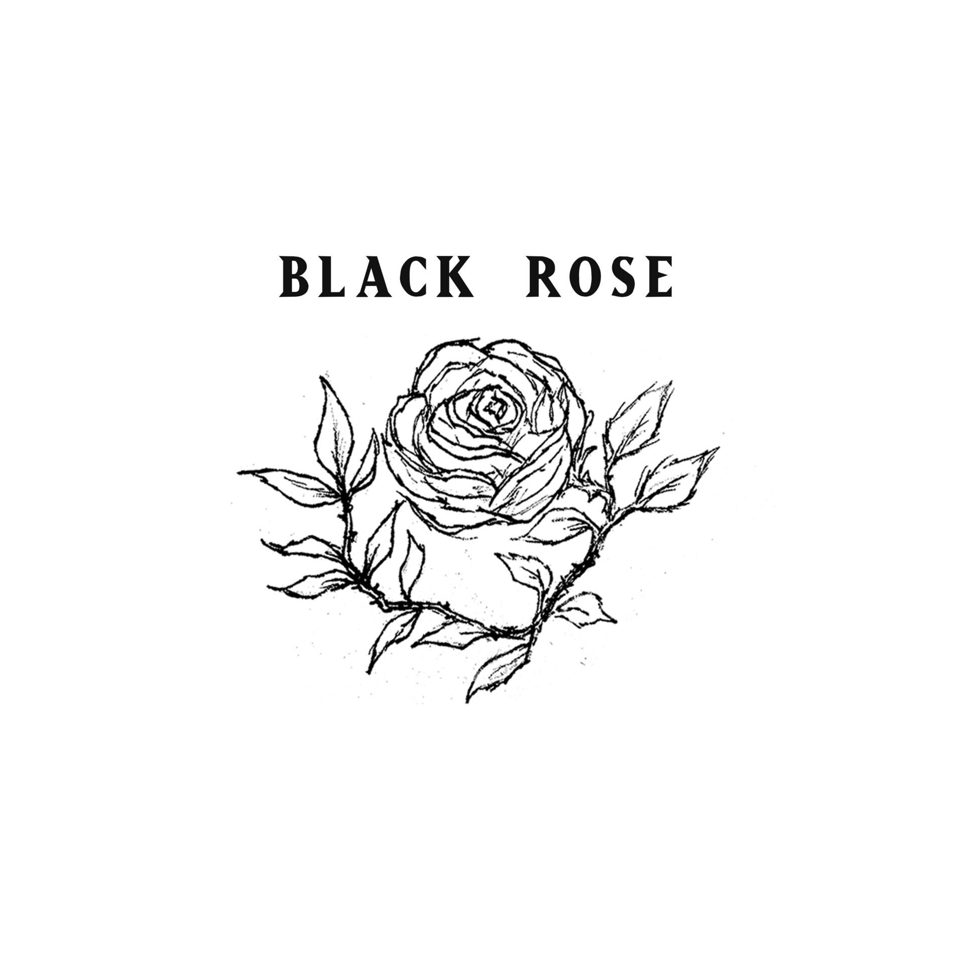 Album cover of Black Rose