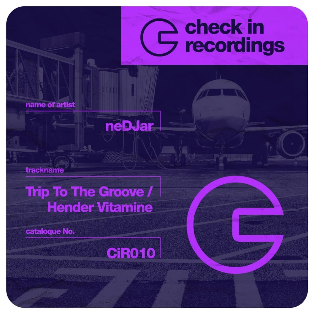 Picture of Trip to the Groove