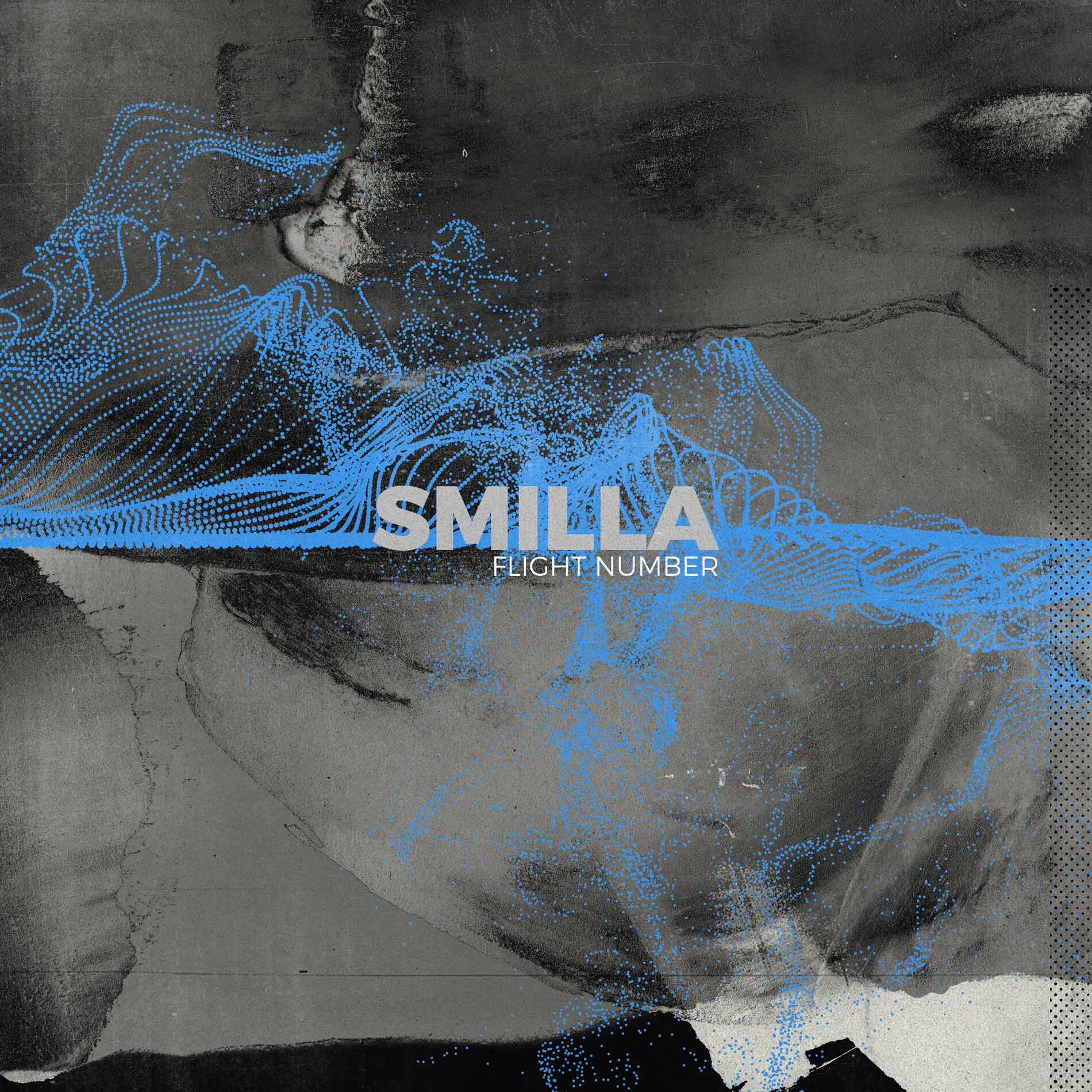 Album cover of Flight Number