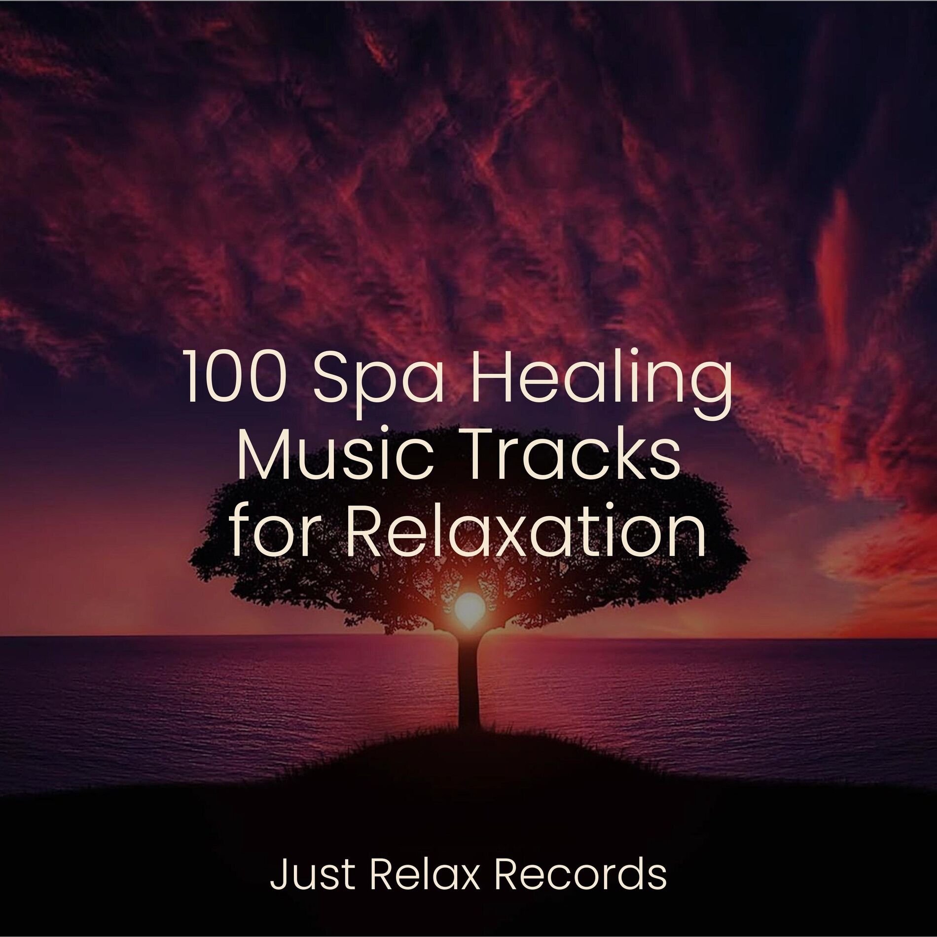 Album cover of 100 Spa Healing Music Tracks for Relaxation