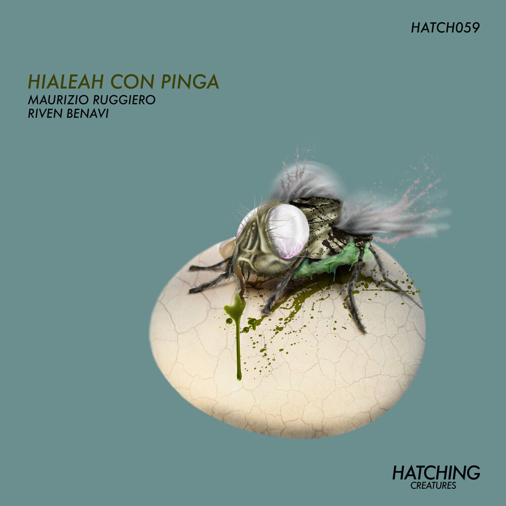 Picture of Hialeah con Pinga