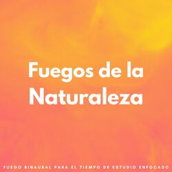 Cover of Fuegos De La Naturaleza: Fuego Binaural Para El Tiempo De Estudio Enfocado