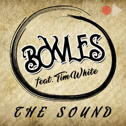 Cover of The Sound