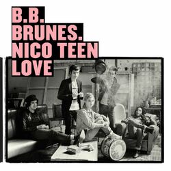Cover of Nico Teen Love (Edition Deluxe)