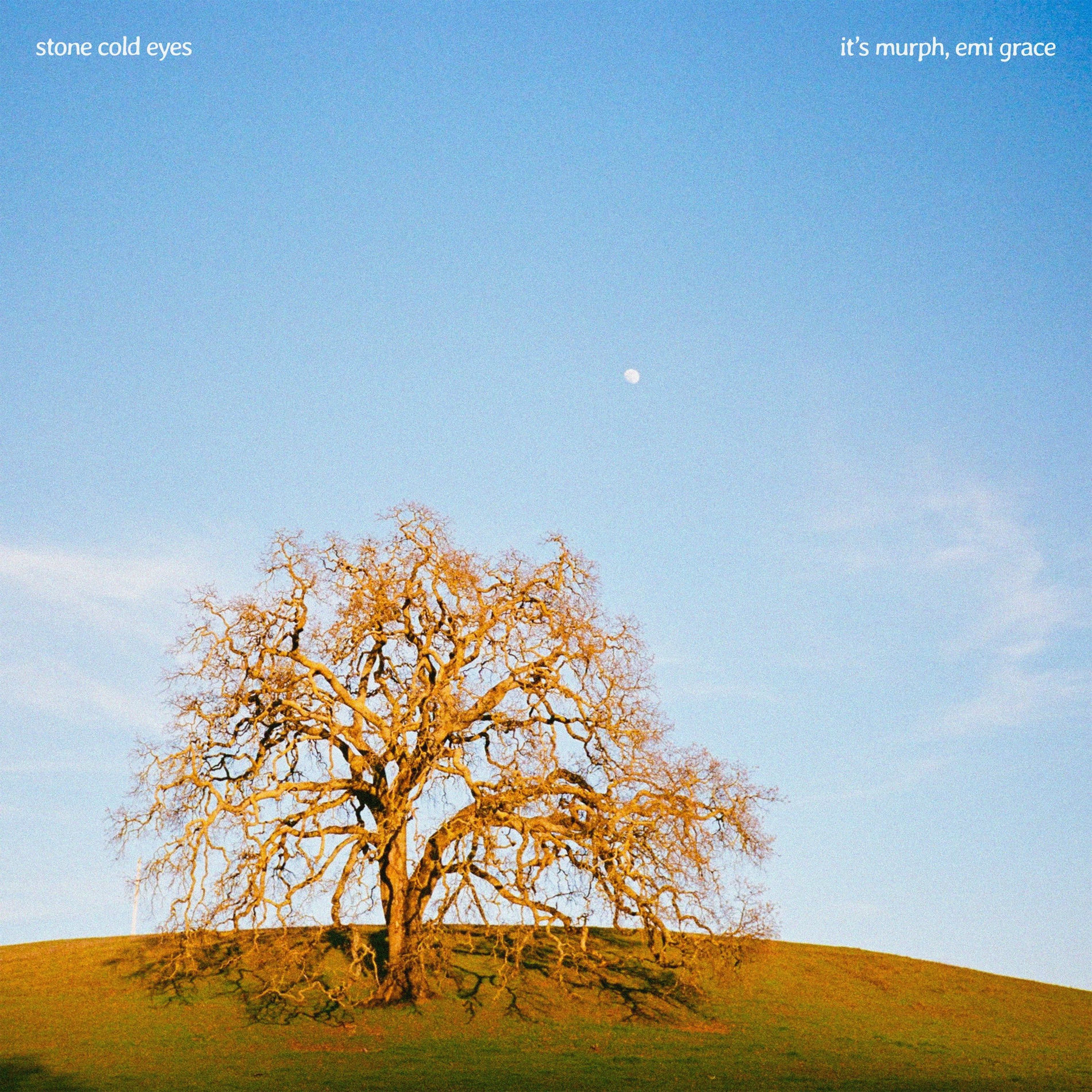 Album cover of Stone Cold Eyes