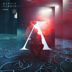 Cover of Access