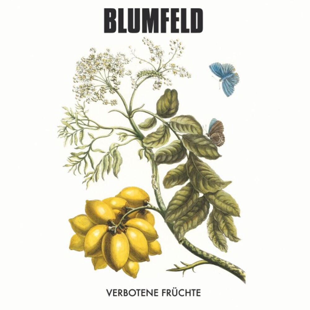 Picture of Verbotene Früchte