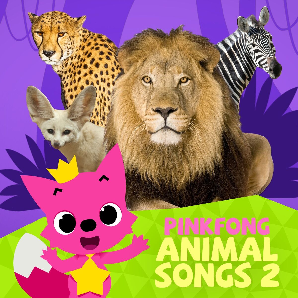 Album cover of Animal Songs 2