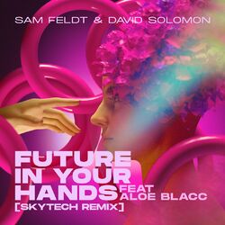 Cover of Future In Your Hands (feat. Aloe Blacc) (Skytech Remix)