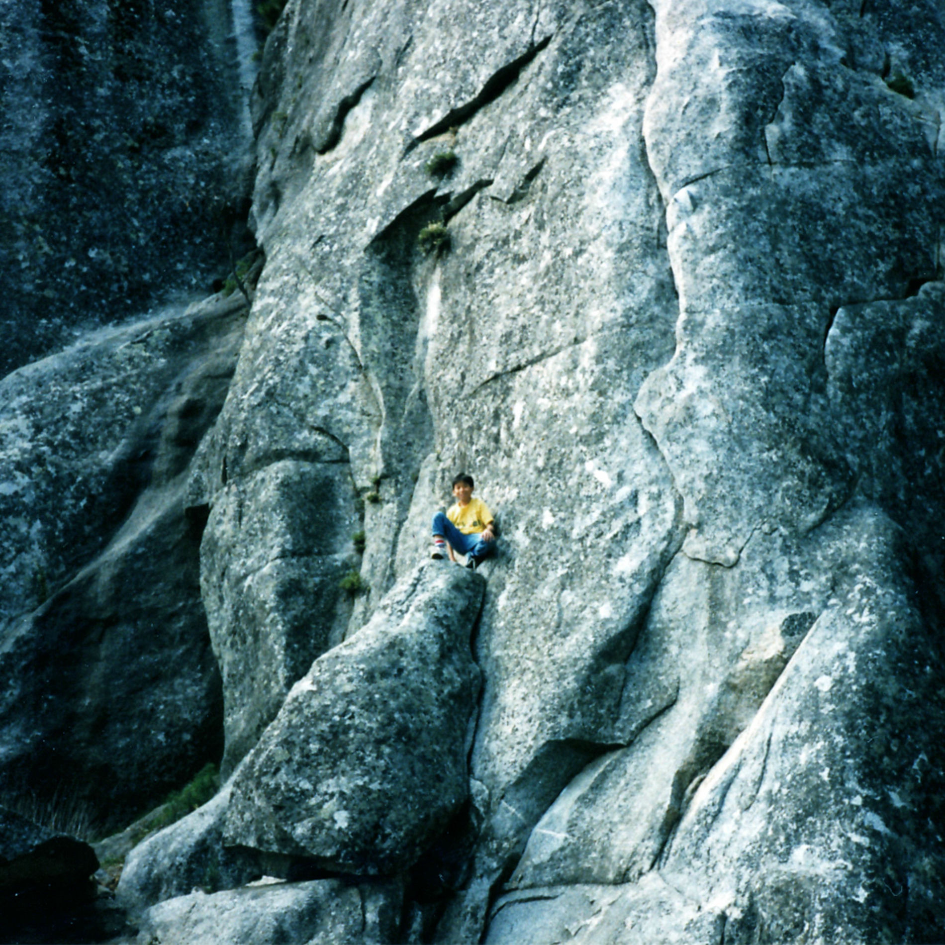 Album cover of The Quiet Voice