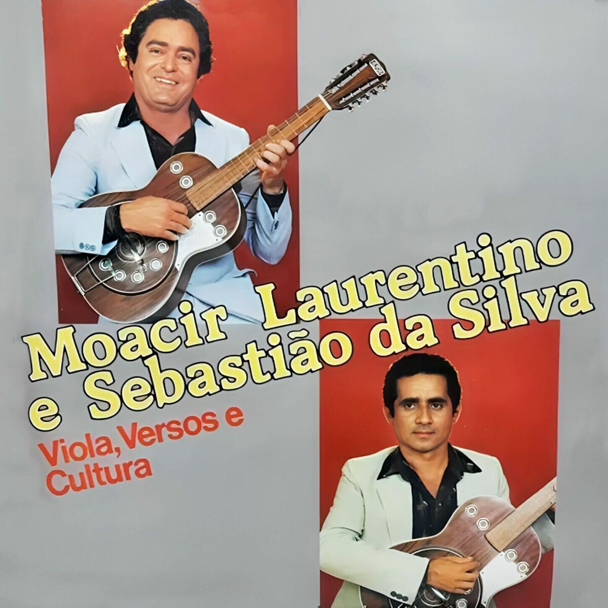 Album cover of Viola, Verso e Cultura