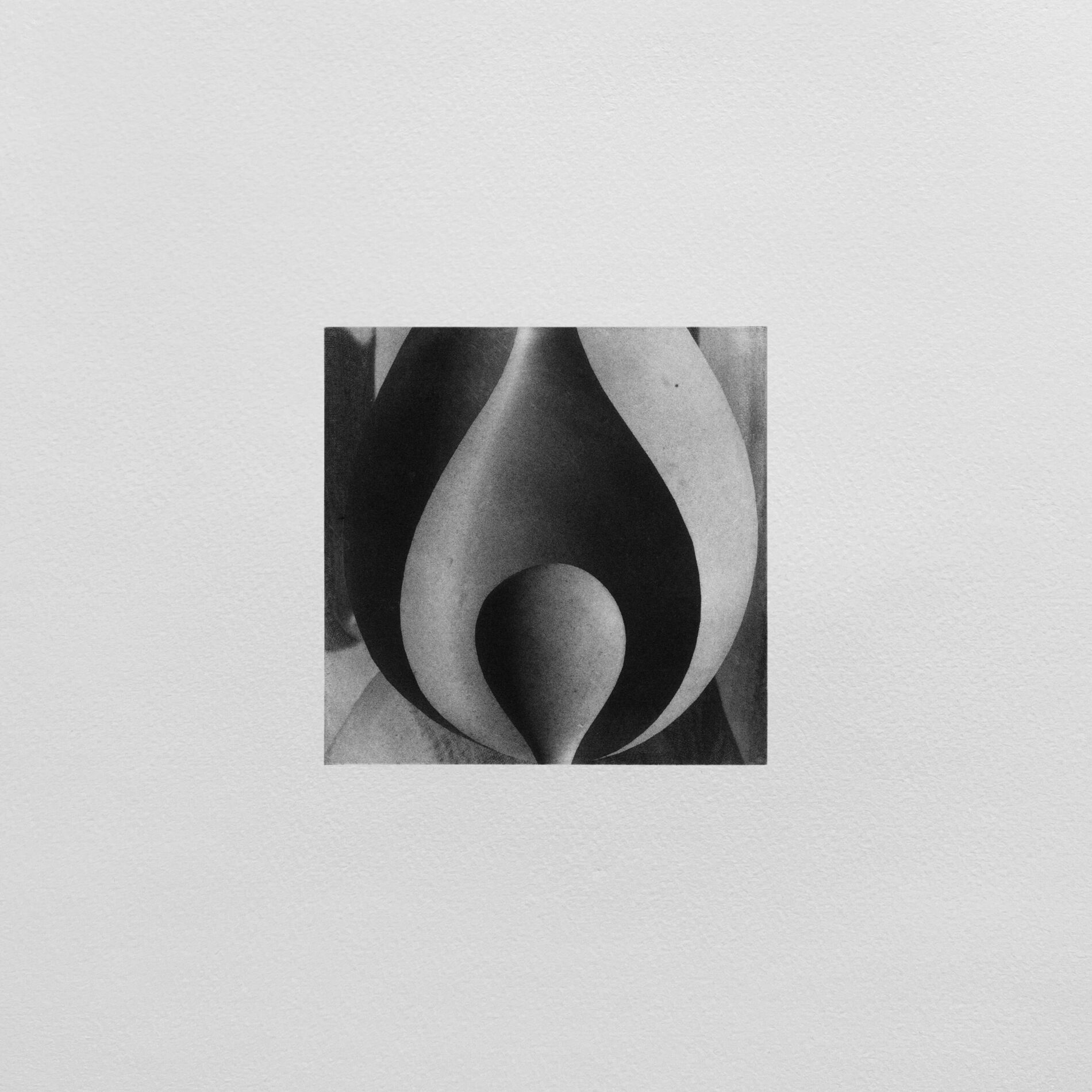 Album cover of Tears
