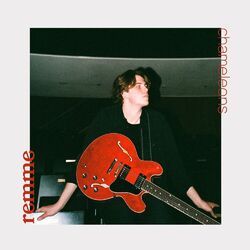 Cover of chameleons