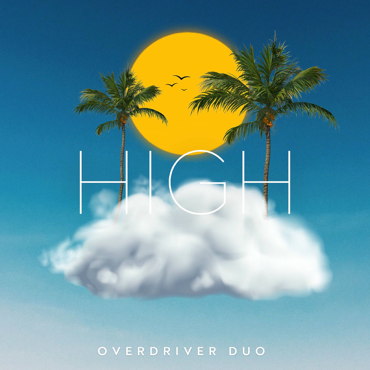 Album cover of High