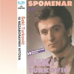 Cover of Spomenar