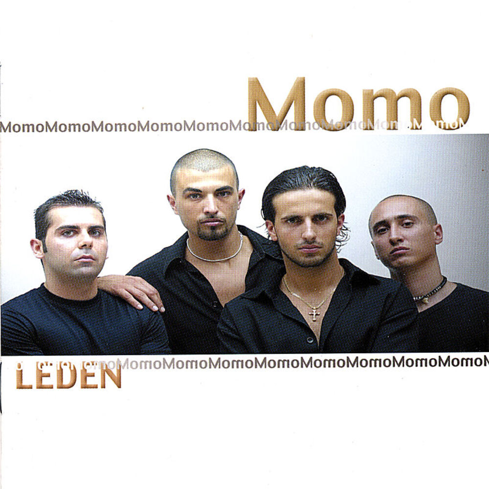Picture of Leden
