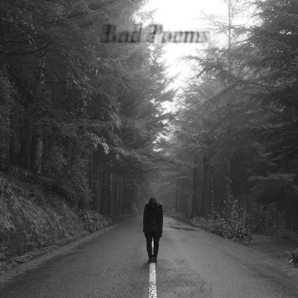 Picture of Bad Poems (Album)