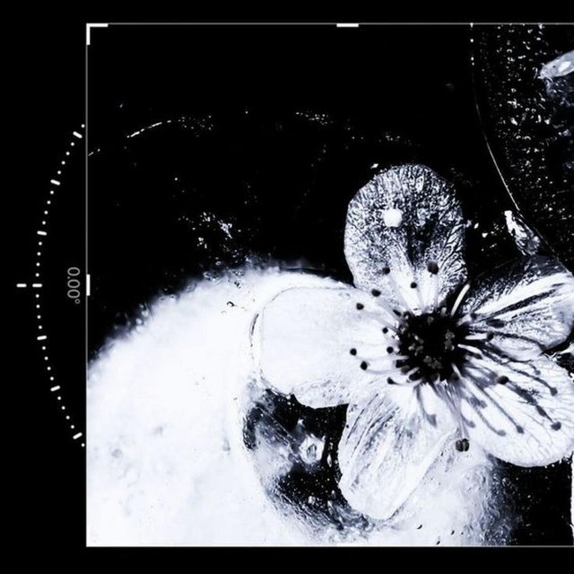 Album cover of Killer