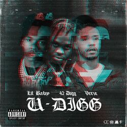 Cover of U-Digg