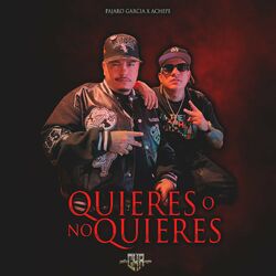 Cover of Quieres O No Quieres