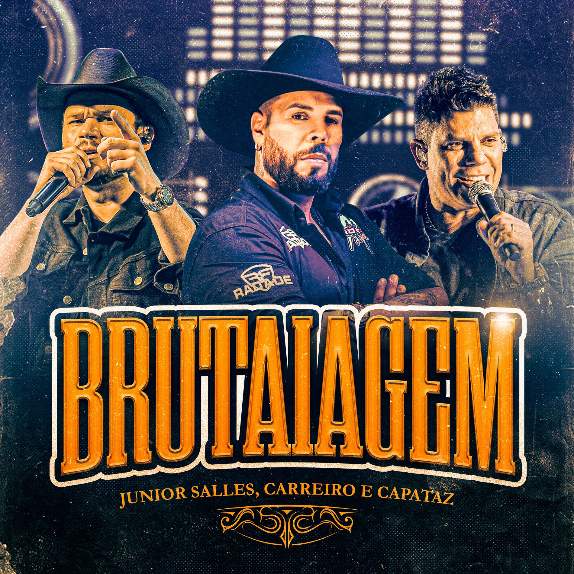 Album cover of Brutaiagem