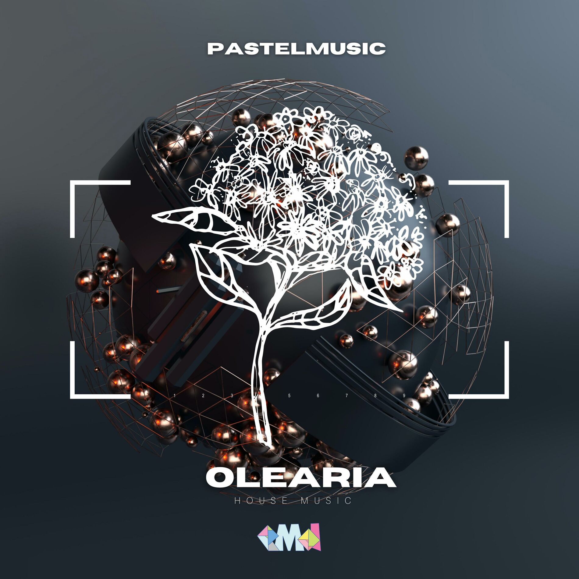 Album cover of Olearia