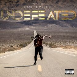 Cover of Trust the Process II: Undefeated
