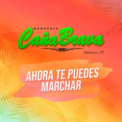 Cover of Ahora Te Puedes Marchar